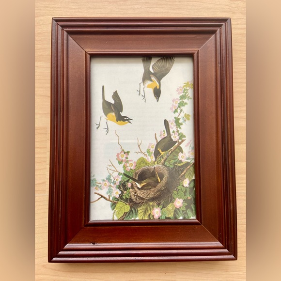 YELLOW BREASTED CHAT Audubon Birds Art Print Gallery Wall Framed Spring Nest - Picture 1 of 3